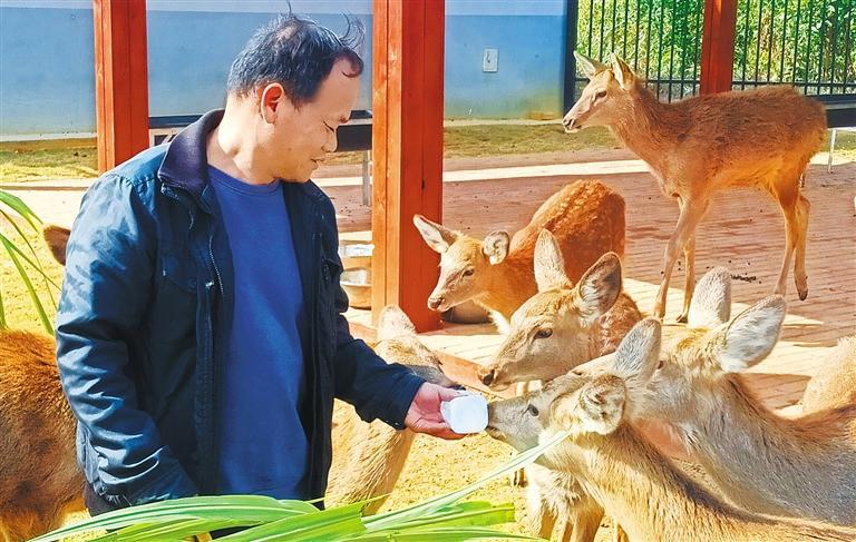 发展产业调研】林下生金不朽情缘网站【高质量(图2)
