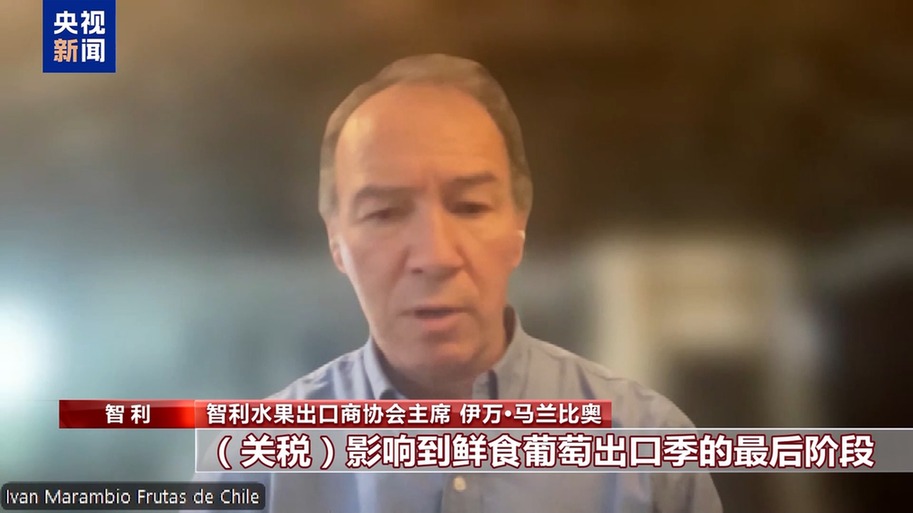 果棘手的关税 智利水果产业“愁”不朽情缘总台记者探访丨应季的水(图3)