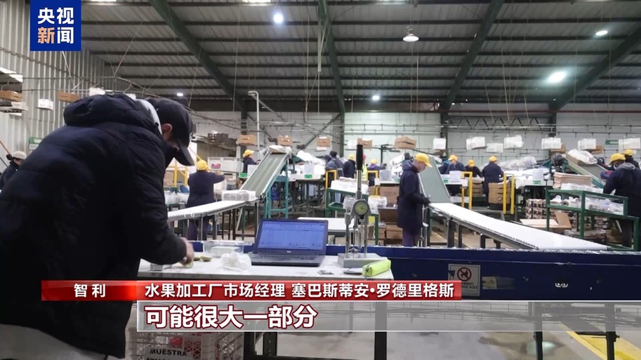 果棘手的关税 智利水果产业“愁”不朽情缘总台记者探访丨应季的水(图5)